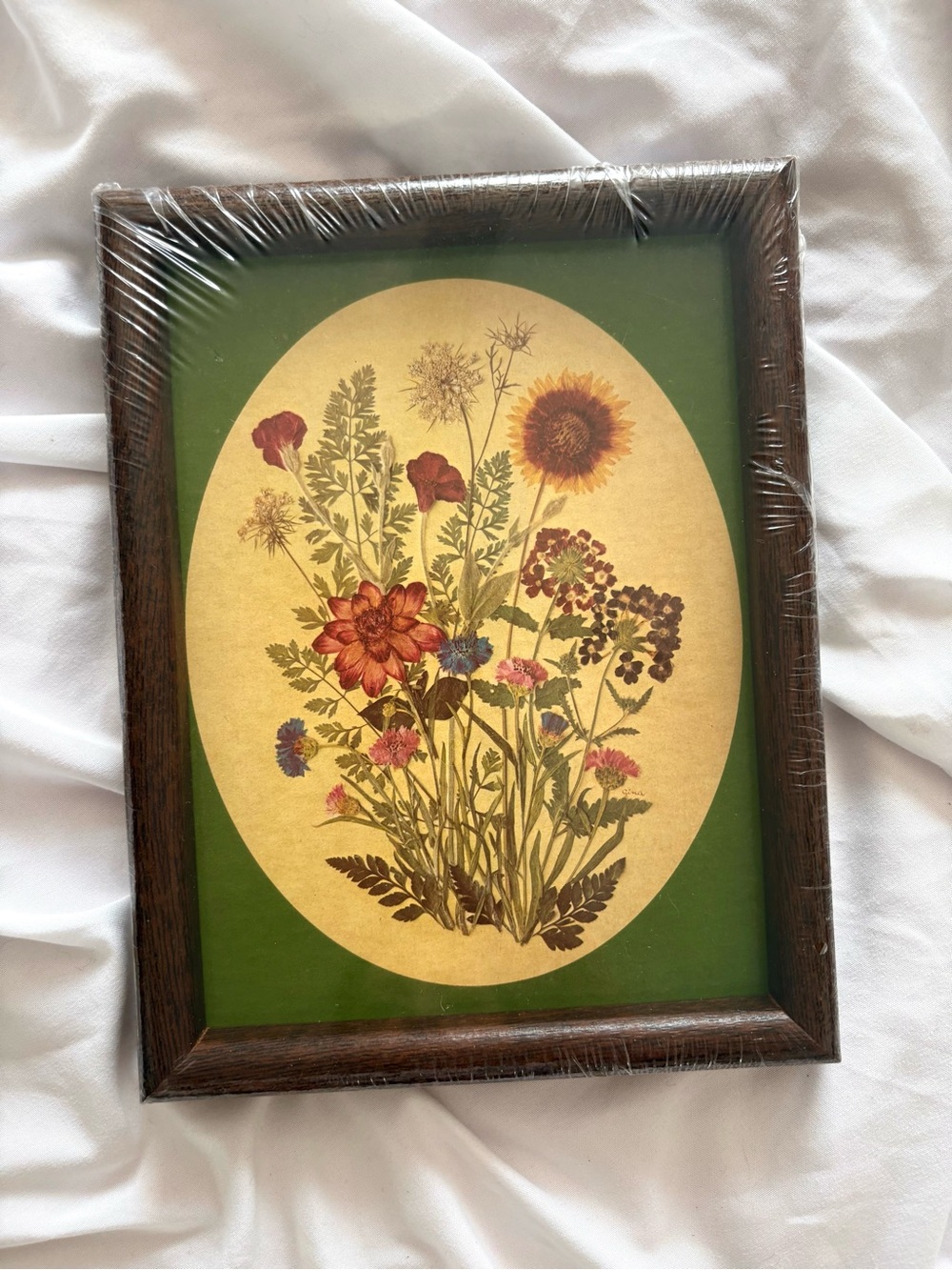 Vintage wildflower art illustration print framed home decor wall hanging new